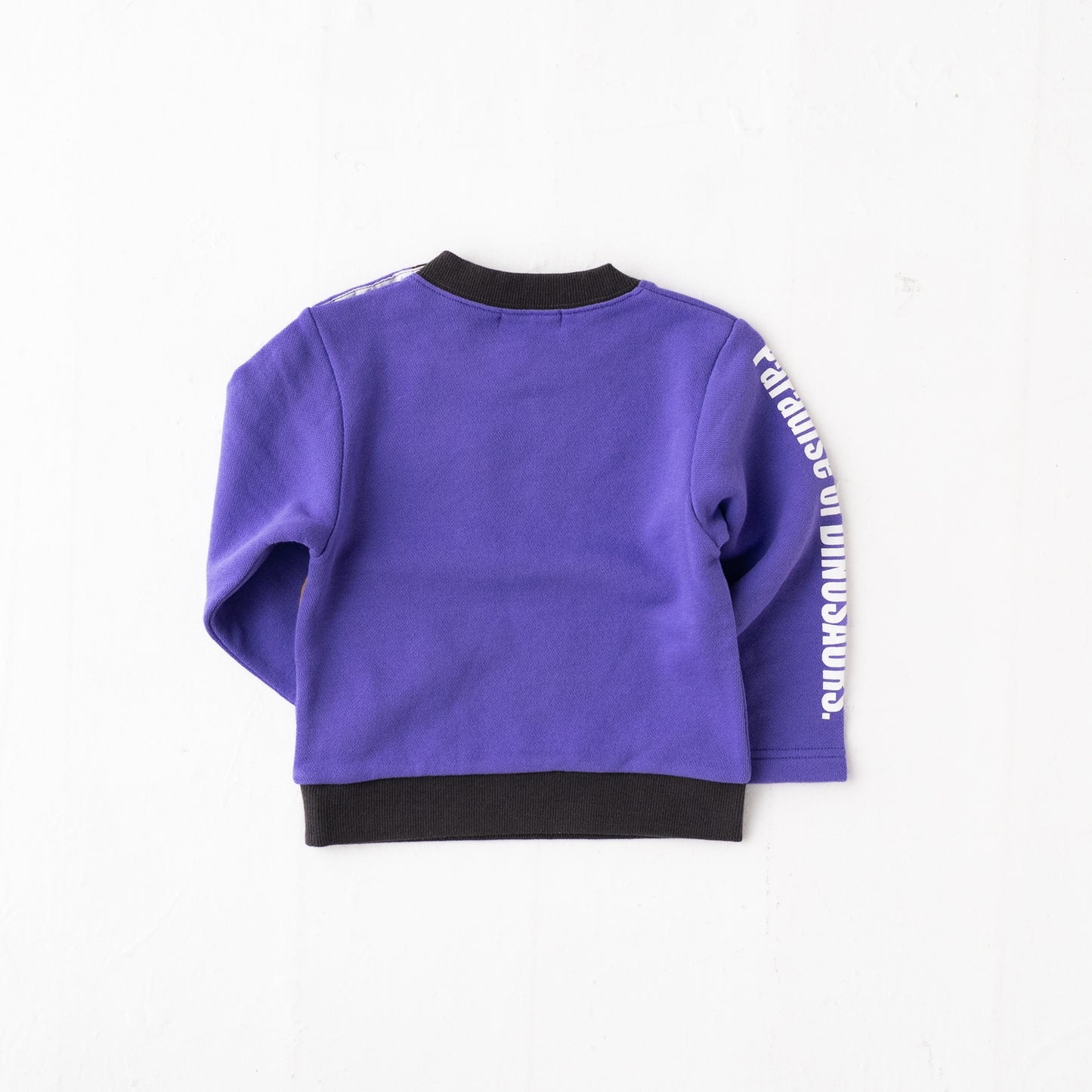 恐竜モチーフトレーナー PURPLE